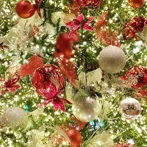 Meet your Posher, Marie